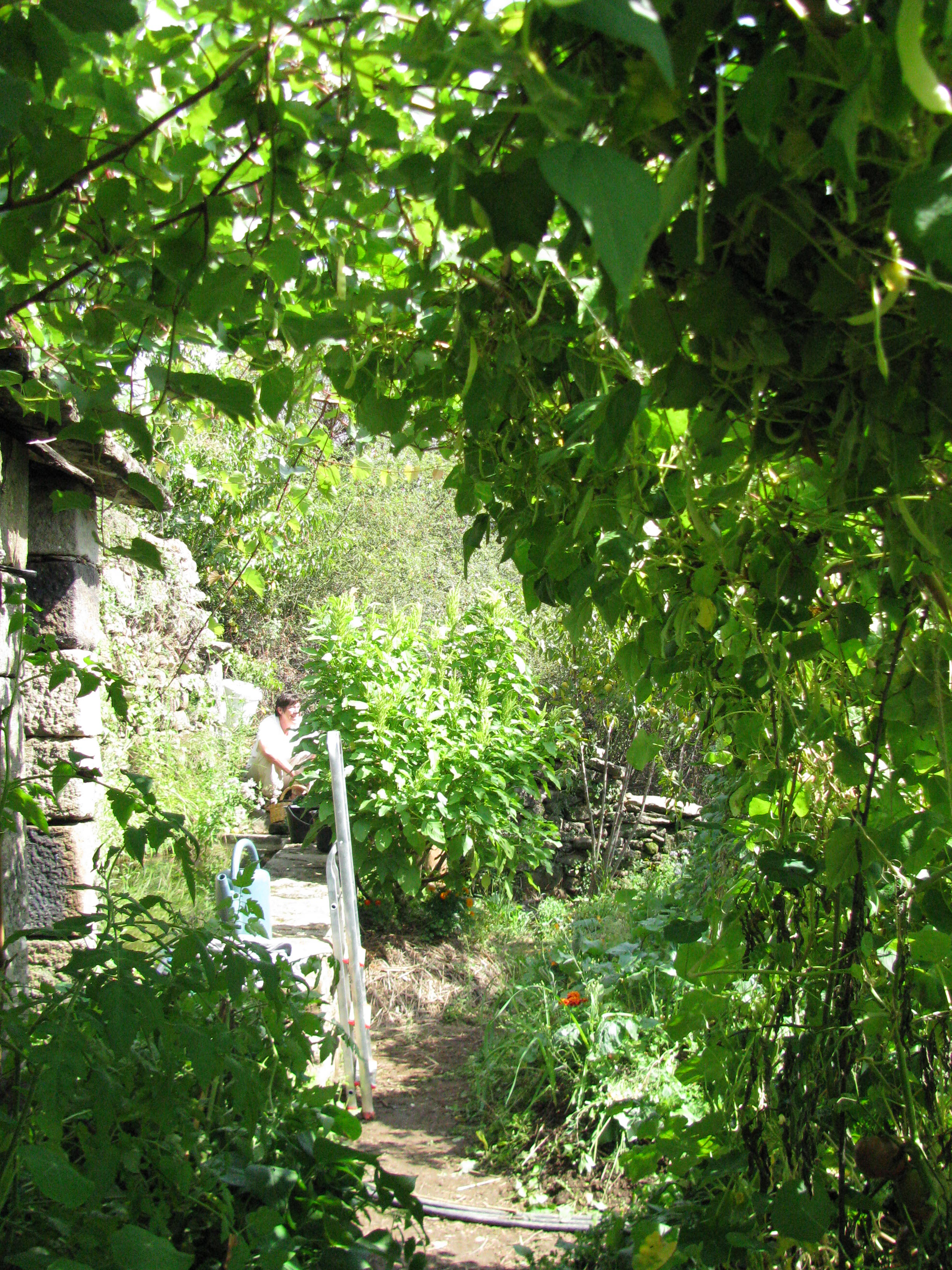 Photo de jardin 13